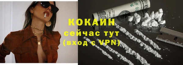 спиды Богородицк