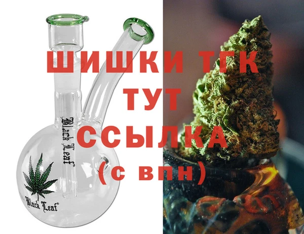 спиды Богородицк