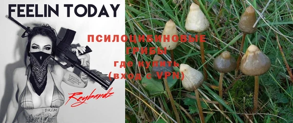 дживик Богданович