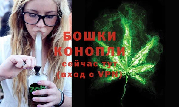 дживик Богданович