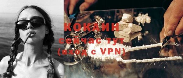 стаф Бородино