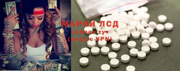 стаф Бородино