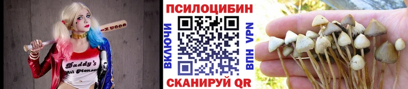 Псилоцибиновые грибы мицелий  магазин продажи   OMG как войти  Киржач 
